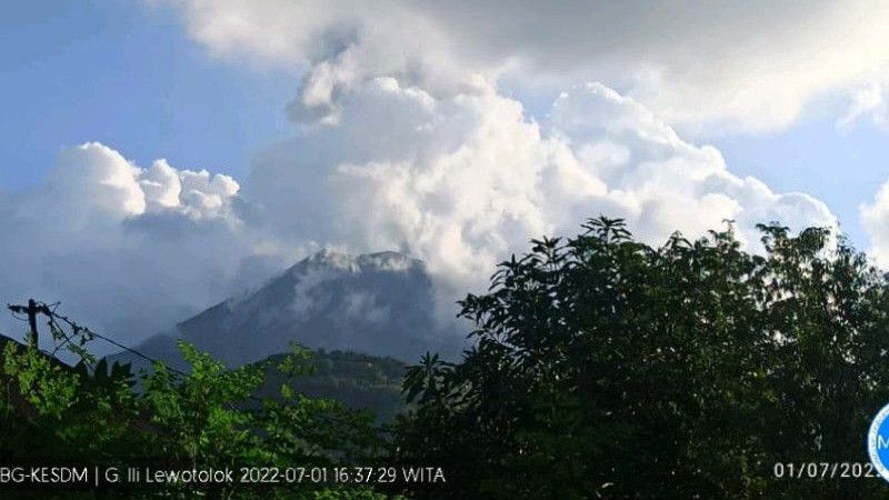 Situasi Terkini Gunung Api  Ile Lewotolok di Lembata: Erupsi Setinggi 1.300 Meter