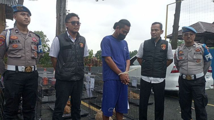 Warga Garut Digerebek Polisi Soal Jual-Beli Anjing di Banyumas, Diduga untuk Konsumsi