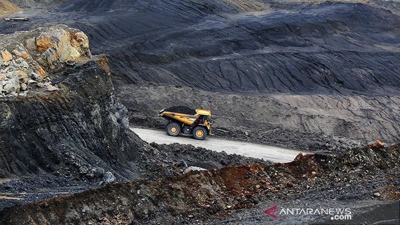 Yenny Wahid Lebih Butuh Uang Pemerintah Bukan Hadiah Tambang untuk PBNU