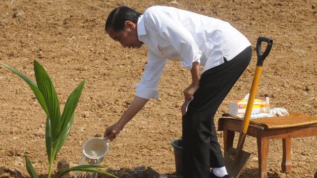 Indonesia Terima Penghargaan IRRI Atas Capaian Swasembada Beras, Jokowi ...