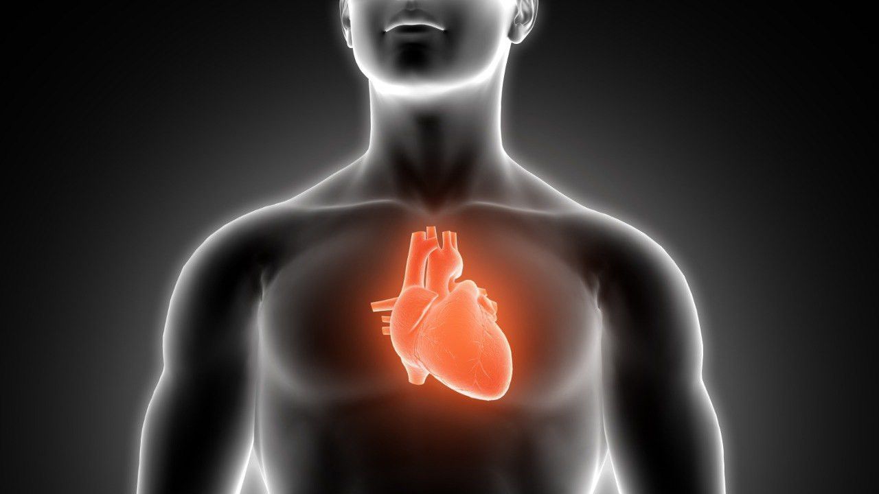 Mengenal Perbedaan Henti Jantung dan Serangan Jantung, Inilah Penyebab dan Tanda-tandanya