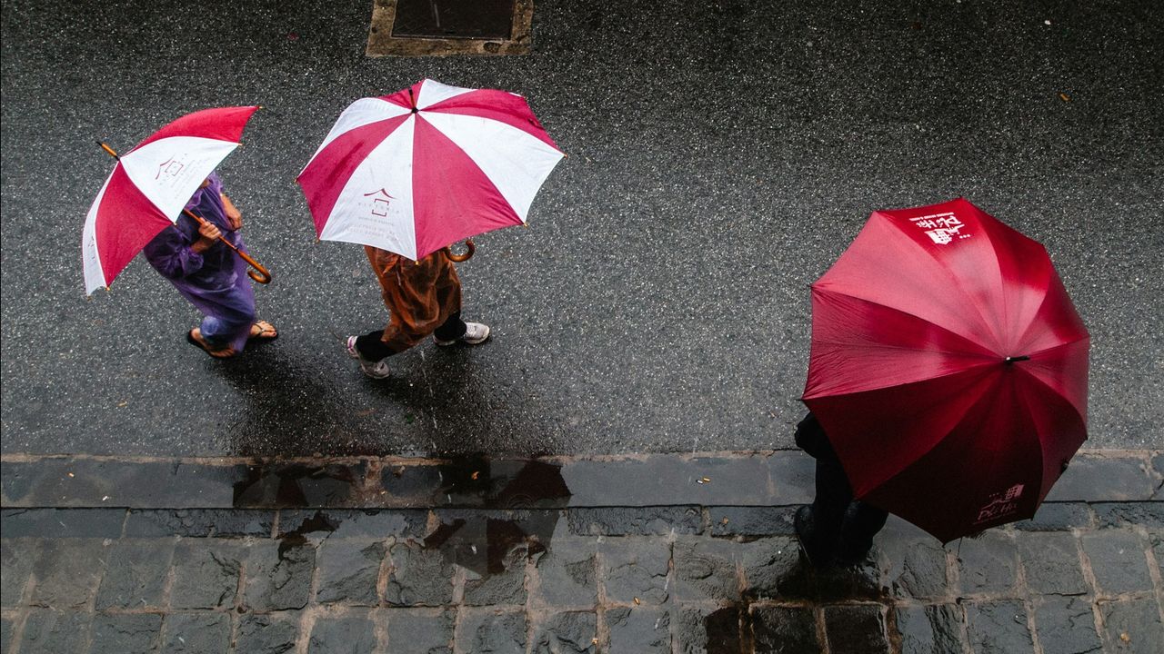 Ide Bisnis di Musim Hujan Paling Cuan yang Mudah Dilakukan