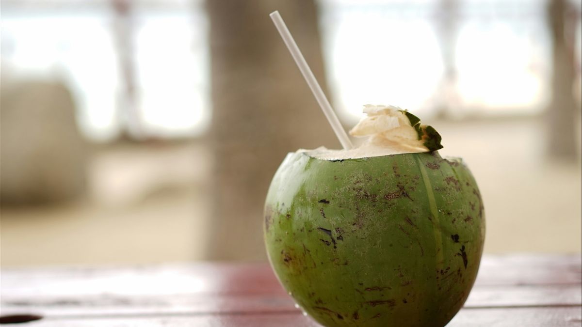 Yang Terjadi di Tubuh Jika Minum Air Kelapa Tiap Hari, Salah Satunya Mengganggu Pencernaan