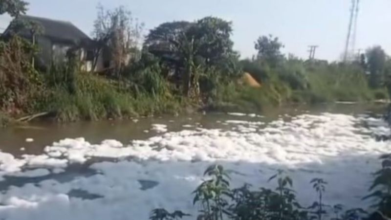 Pemkab Bekasi Kewalahan Cari Siapa yang Mencemari Kali Cilemahabang