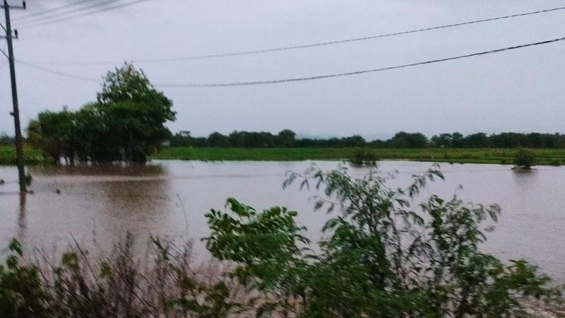 Diguyur Hujan Deras, 250 Hektare Sawah di Sumbawa Terendam Banjir