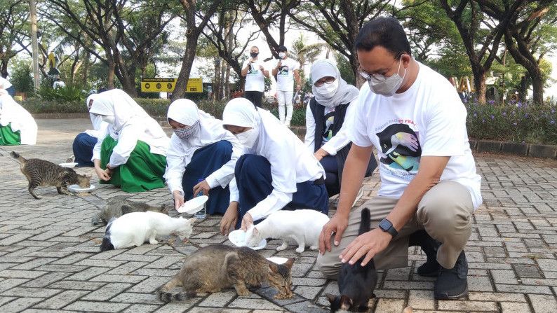 Gaya Anies Baswedan Beri Makan Kucing Liar di Ancol Peringati Hari Rabies