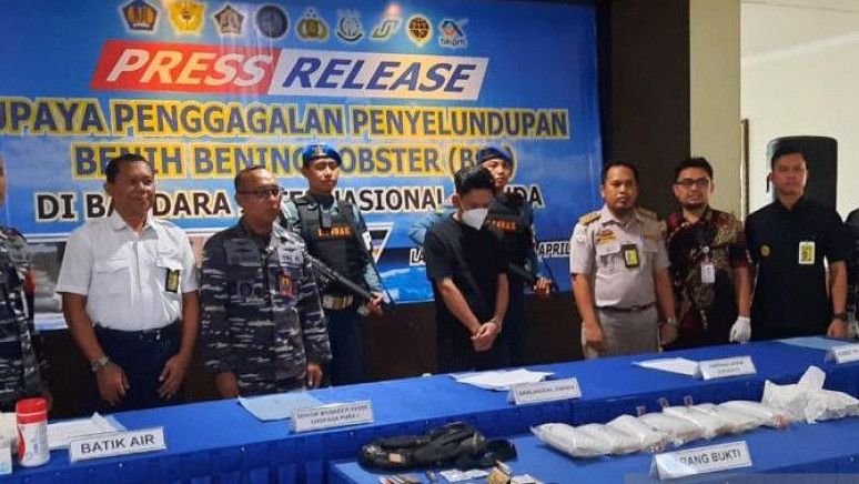 Jelang Lebaran Idul Fitri, KKP Berhasil Gagalkan Penyelundupan 212 Ribu Benih Lobster