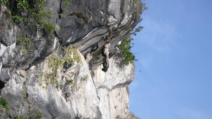 Legenda Batu Gantung Danau Toba, Kisah Tragis Perjodohan