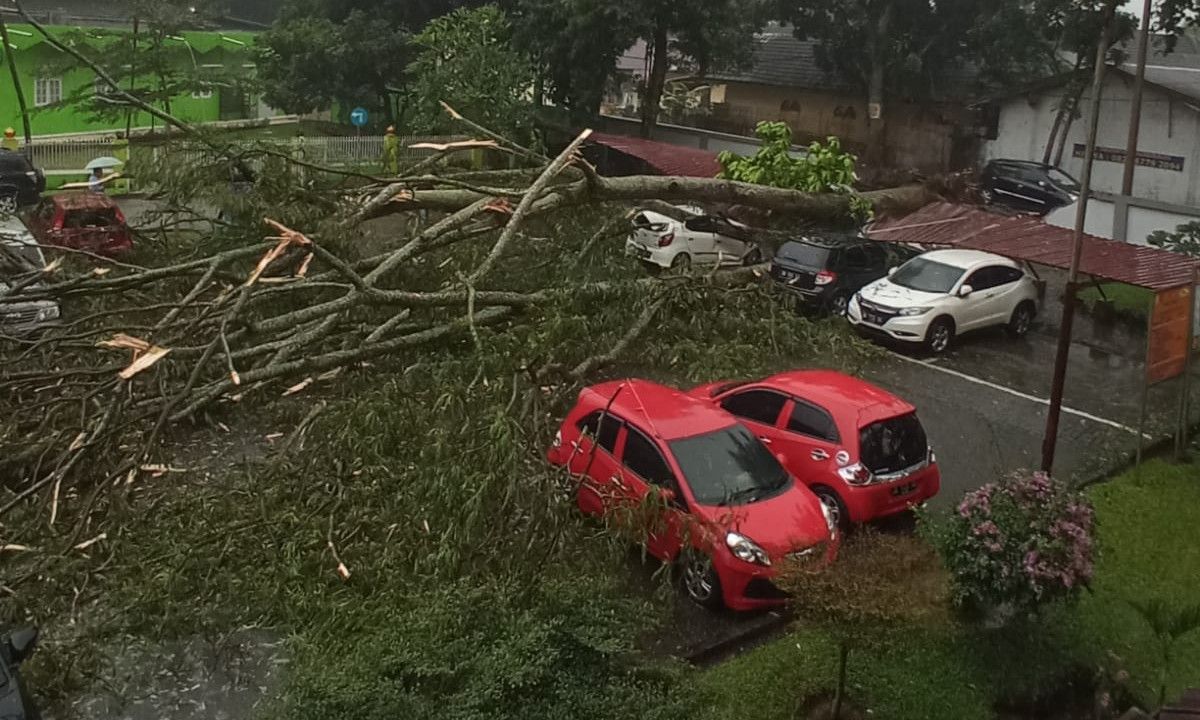 Pohon Besar Tumbang dan Timpa Mobil di Parkiran RSUP Adam Malik Medan