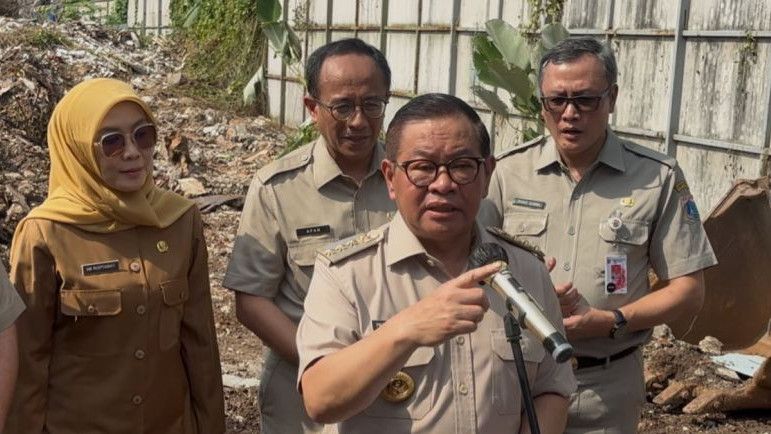 Imbas Telan Korban, Pramono Perintahkan Pemasangan Penyangga di 5.000 Pohon Rawan Tumbang