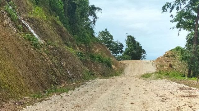 Kementerian PUPR Selesaikan Bertahap Proyek Trans Papua hingga 2024, Sepanjang 1.647 Km Sudah Teraspal