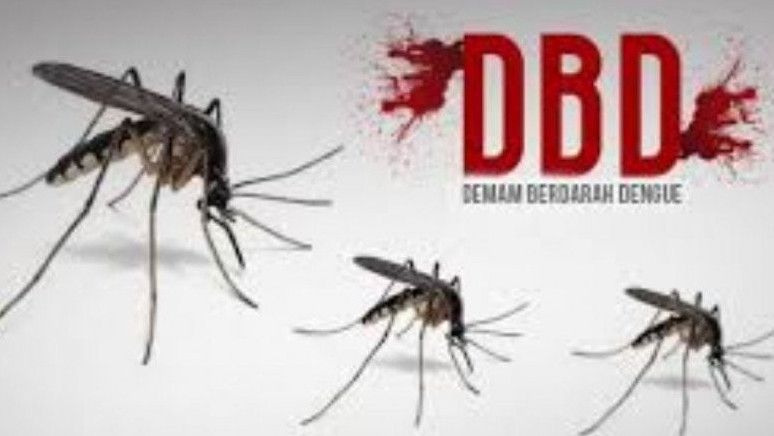 Dinkes Tangerang Temukan 1.322 Kasus DBD Selama 2022, Warga Diminta Rutin Bersihkan Sarang Nyamuk