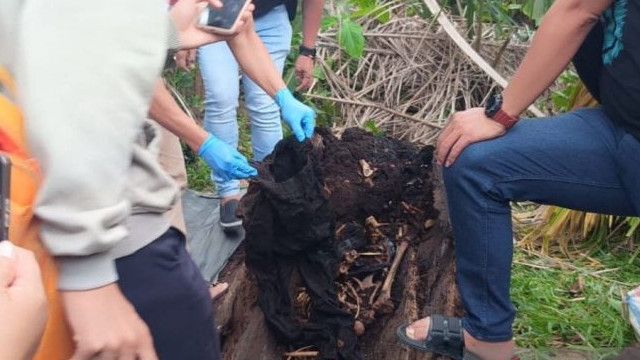 Geger Penemuan Kerangka Manusia di Pohon Aren di Serdang Bedagai, Ada Ponsel Nokia dan Gelang Besi
