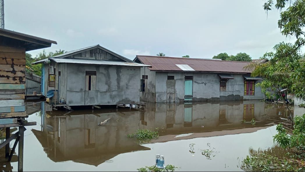 Kabar Buruk dari Kalbar, Sungai Kapuas Meluap, Ribuan Warga Sanggau Kebanjiran