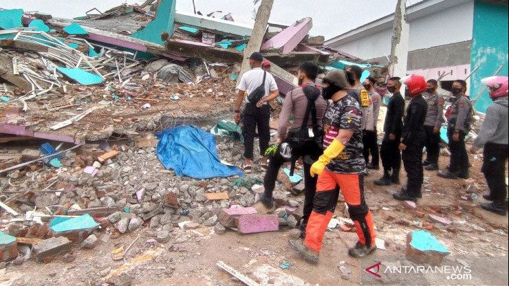 Bantu Pencarian Korban Gempa Mamuju, Tim SAR Kerahkan Anjing Pelacak