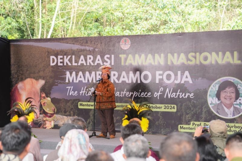 Mamberamo Jadi Taman Nasional ke-57, Menteri LHK Sebut Benteng Terakhir Pertahanan Keanekaragaman Hayati