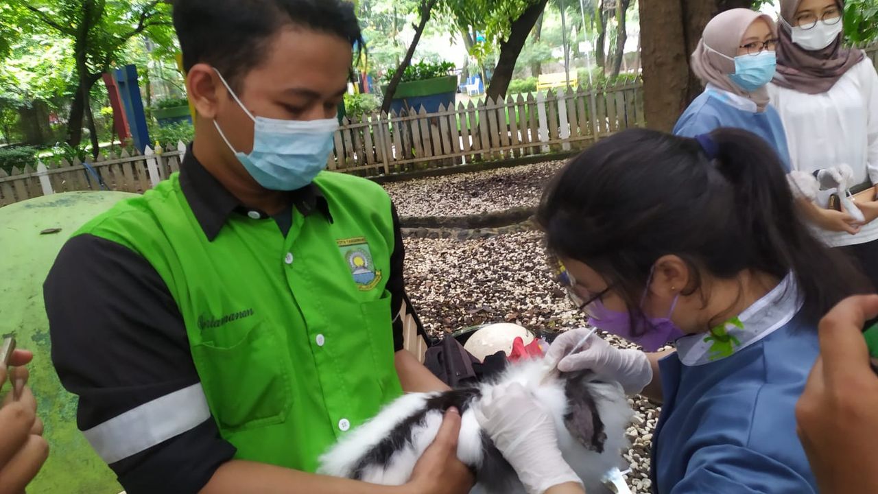 Waspada! Kelinci dan Burung Peliharaan Pemkot Tangerang di Sejumlah Taman Mengidap Penyakit Menular