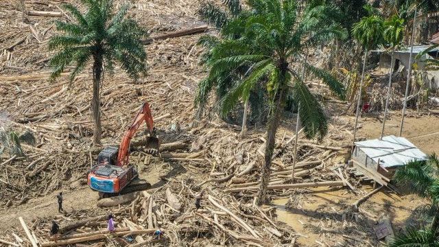 Bareskrim Duga Gelondongan Kayu di Banjir Bandang Sumatera Hasil dari Pembukaan Lahan Sawit