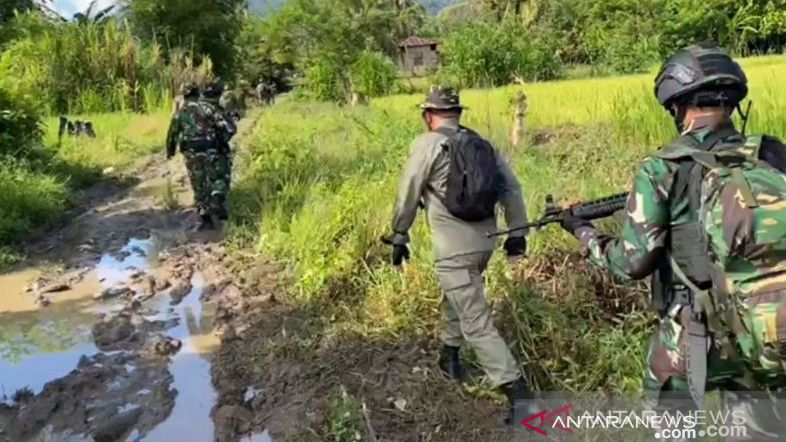 Dua DPO Kelompok MIT Poso Tewas Ditembak Satgas TNI/Polri Madago Raya