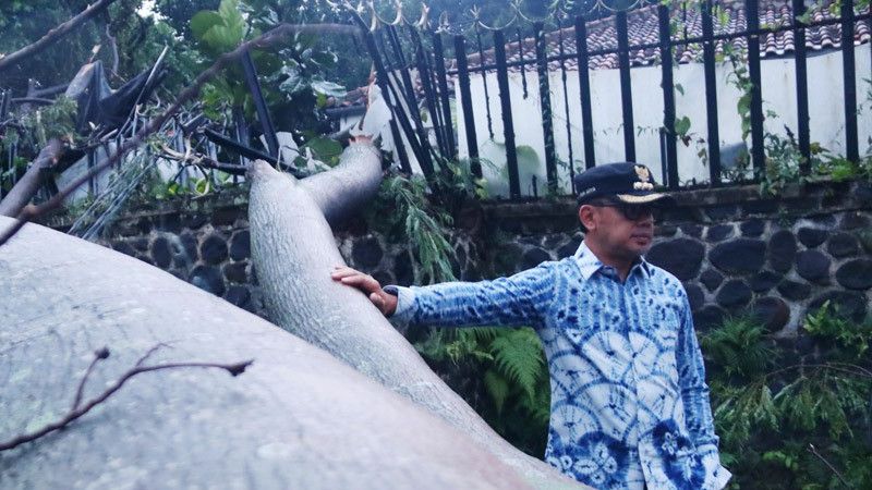 Rumah Keluarga Mantan Walikota Bogor Tertimpa Pohon Saat Hujan Disertai Angin Kencang Landa Kota Bogor