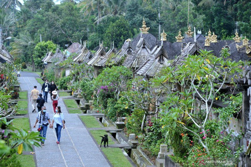 Wagub Cok Ace Akan Tindak Bule 'Nakal' yang Panen Kerjaan di Bali dan Bikin Warga Ngeluh