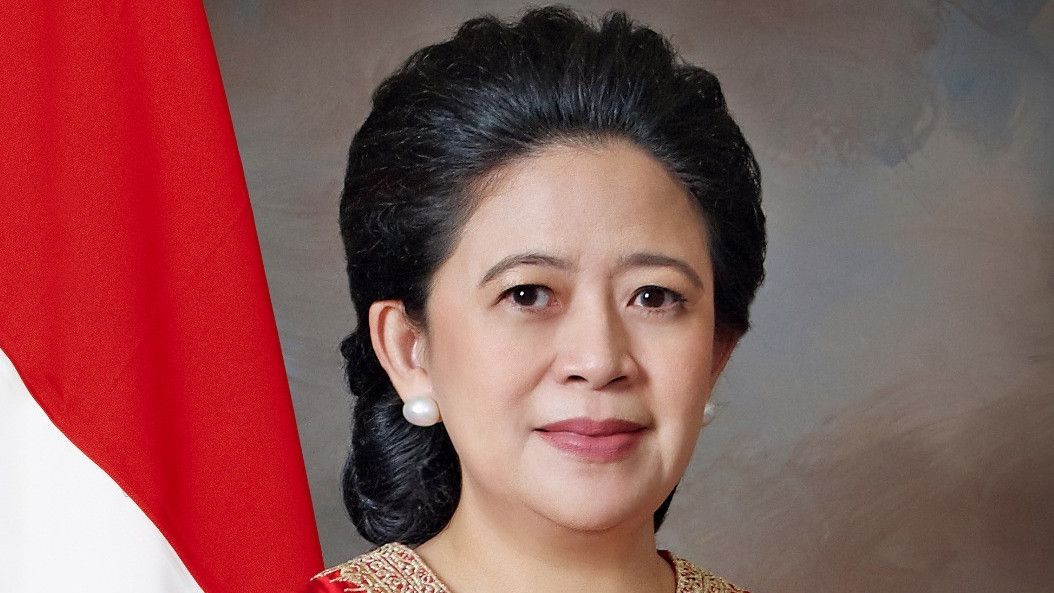 Tanggapi Harapan Puan Maharani Soal Perempuan Jadi Presiden 2024, PAN: Siapa Saja Putra-Putri Terbaik Bangsa Boleh Maju