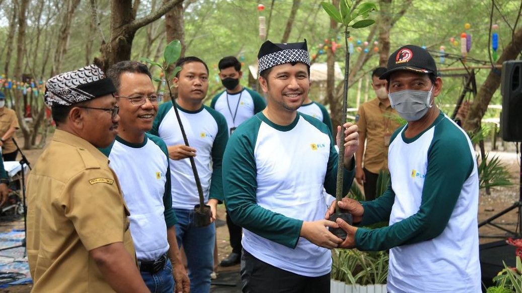 Wujudkan pembangunan berkelanjutan, PLN Tanam 5.000 Bibit Mangrove di KEE Teluk Panggang Jawa Timur