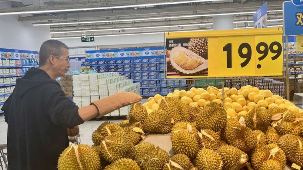 Indonesia Dibanjiri Durian Ilegal Asal Malaysia, Apa Langkah Tegas Pemerintah?