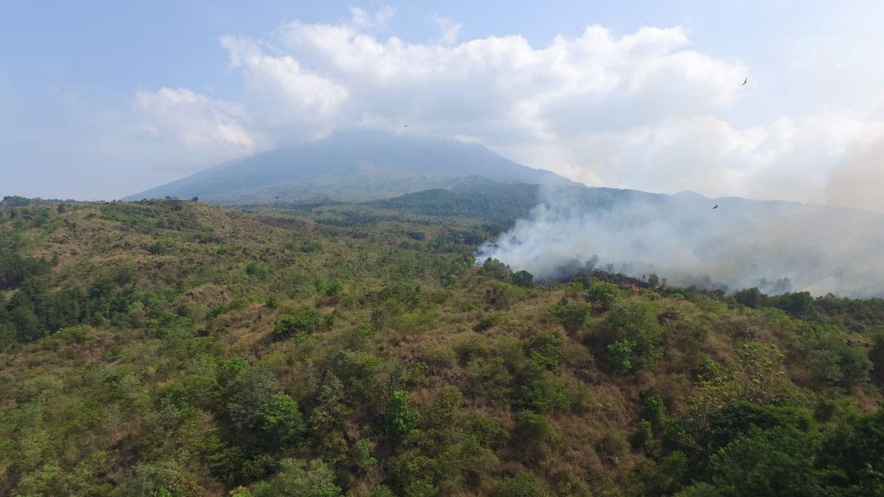 95,56 Hektare Lahan Gunung Ciremai Terbakar, BNPB: Penyebabnya Belum Diketahui