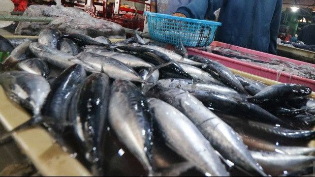 Bahaya Mengancam bagi Mereka yang Makan Ikan Hasil Pengeboman