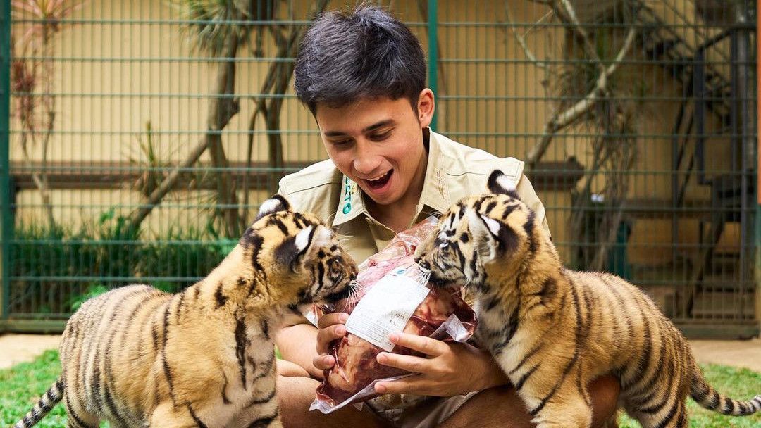 Anak Harimaunya Mati, Alshad Ahmad Langsung Digeruduk Hujatan: Sudah Nggak Bebas, Dijadikan Duit!