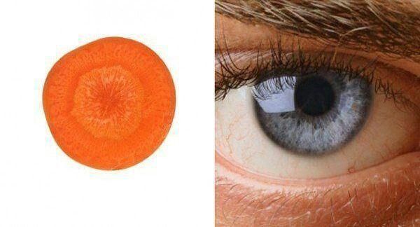 Wortel dan mata (Dok. Pinterest)