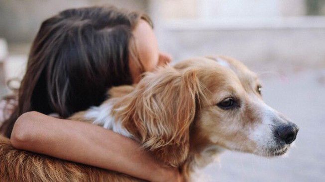 Hukum Memelihara Anjing Dalam Islam, Menurut Rasul dan Para Ulama