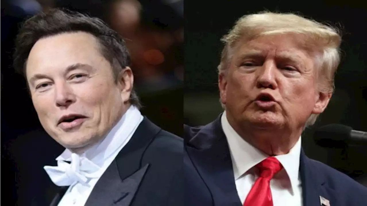 Dibilang Terlalu Tua Jadi Presiden, Trump Ungkap Musk Pernah Mohon Proyeknya Disubsidi: Kalo Saya Minta Berlutut Pasti Mau..