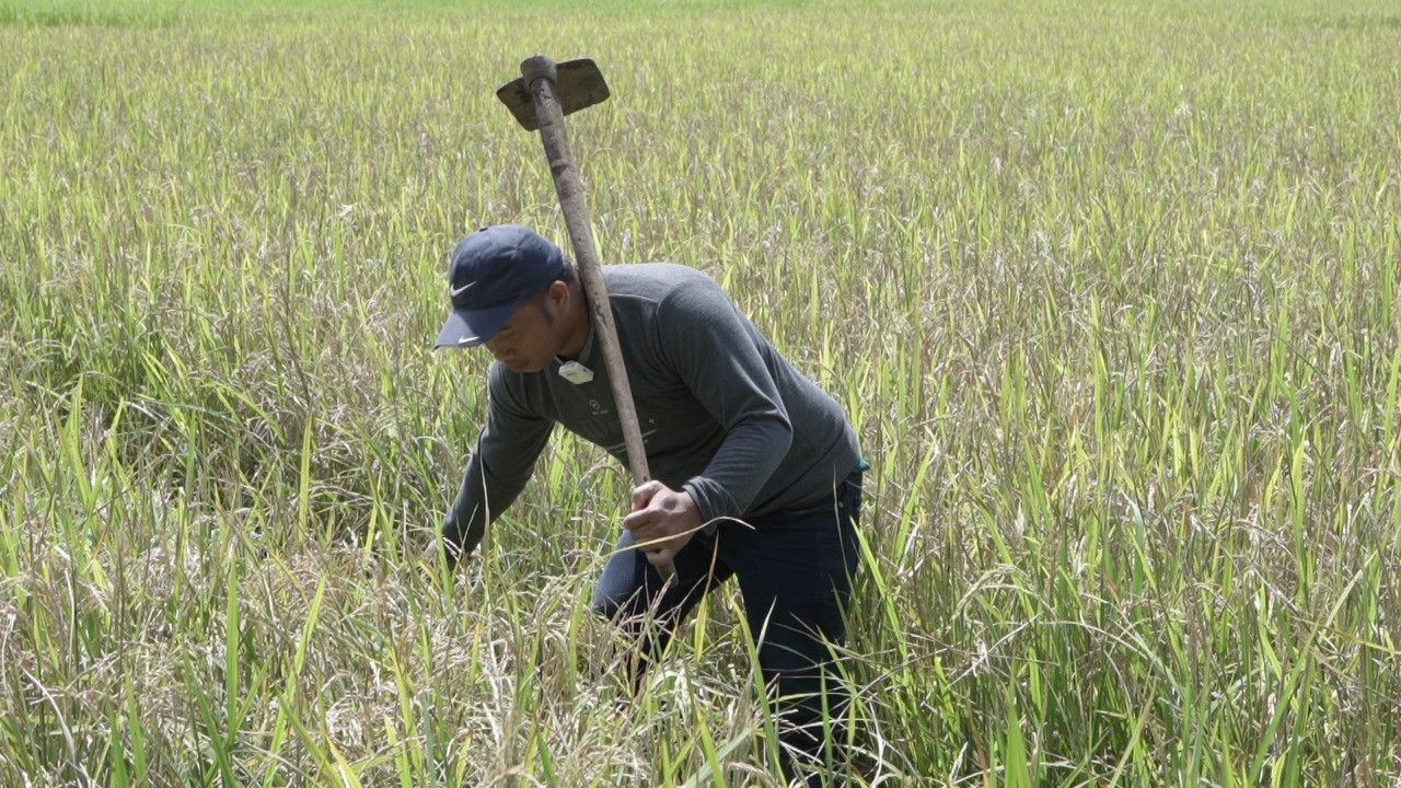 Rehab Irigasi Salobunne Soppeng Rampung, Gubernur Sulsel Sudirman Harap Hasil Pertanian Meningkat