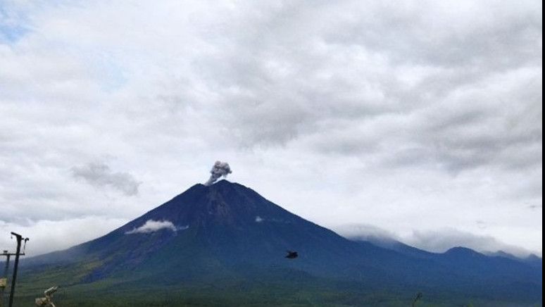 Gunung Semeru Erupsi dengan Letusan Setinggi 600 Meter, Warga Diminta Menjauh Radius 3 Km