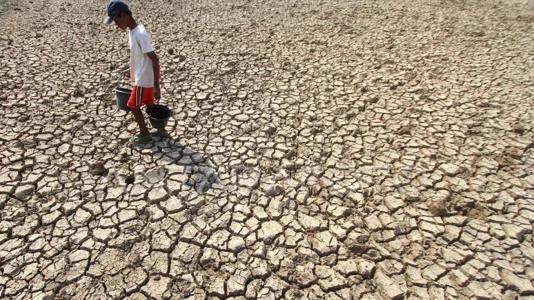 Puncak Kekeringan Terjadi di Juli, BNPB Minta Warga Hemat Air: Bisa Mulai Tampung Air Hujan