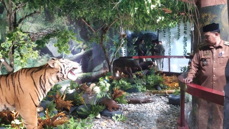 Pameran Koleksi Biologika Hutan Aceh, Museum Aceh Resmi Miliki Objek