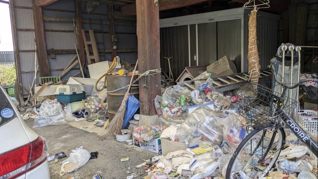 Geger 100 Kucing Ditemukan Mati di Rumah Kumuh Jepang, Ada yang Kulitnya Terkelupas