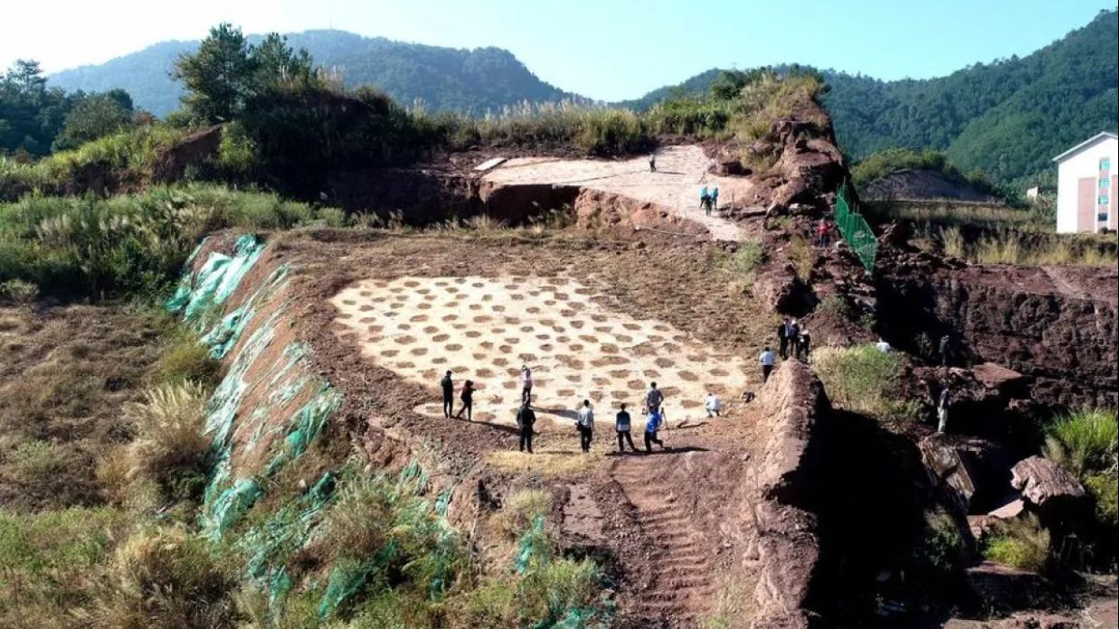 Ilmuwan China Temukan Jejak Deinonychosaurus Terbesar di Dunia