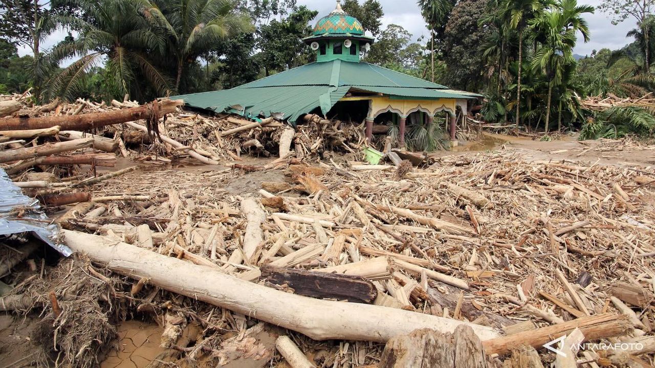 Pemerintah Klaim Masih Sanggup Atasi Bencana, Belum Mau Terima Bantuan Internasional