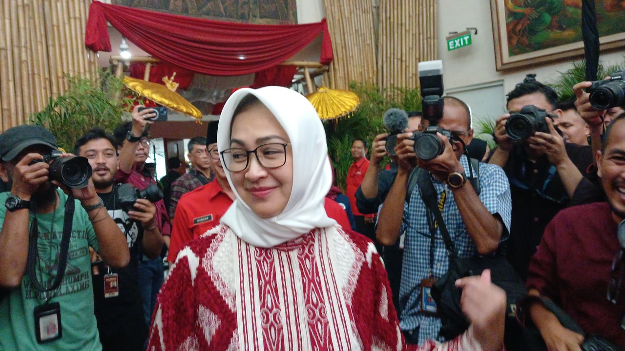 Kena 'Roasting' Megawati saat Diusung PDIP, Airin: Rasa Sayang Ibu ke Putrinya