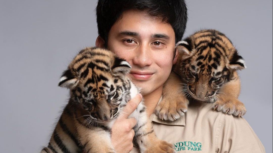 Dibanjiri Kecaman, Alshad Ahmad Beberkan Penyebab Kematian Bayi Harimau: Bukan Stres!
