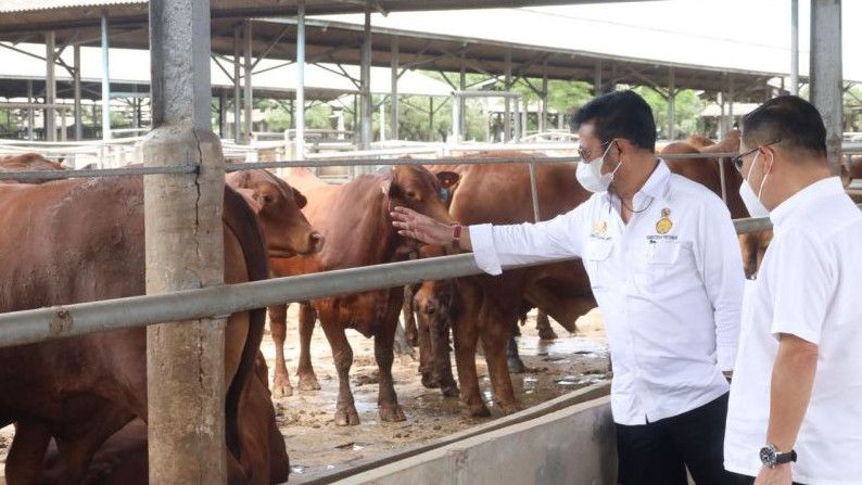 Aksi Mentan Syahrul Yasin Limpo Pastikan Stok Daging Sapi Jelang Lebaran: Aman Sesuai Arahan Jokowi