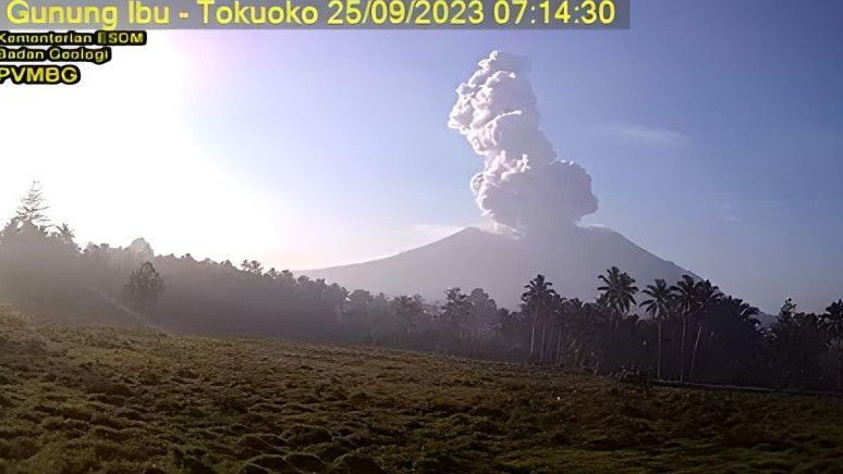 Gunung Ibu Erupsi Setinggi 1,5 Kilometer, Warga Maluku Utara Diminta Waspada