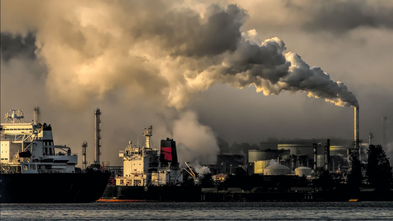 Mengenal Bursa Karbon dan Perannya dalam Menjaga Gas Emisi