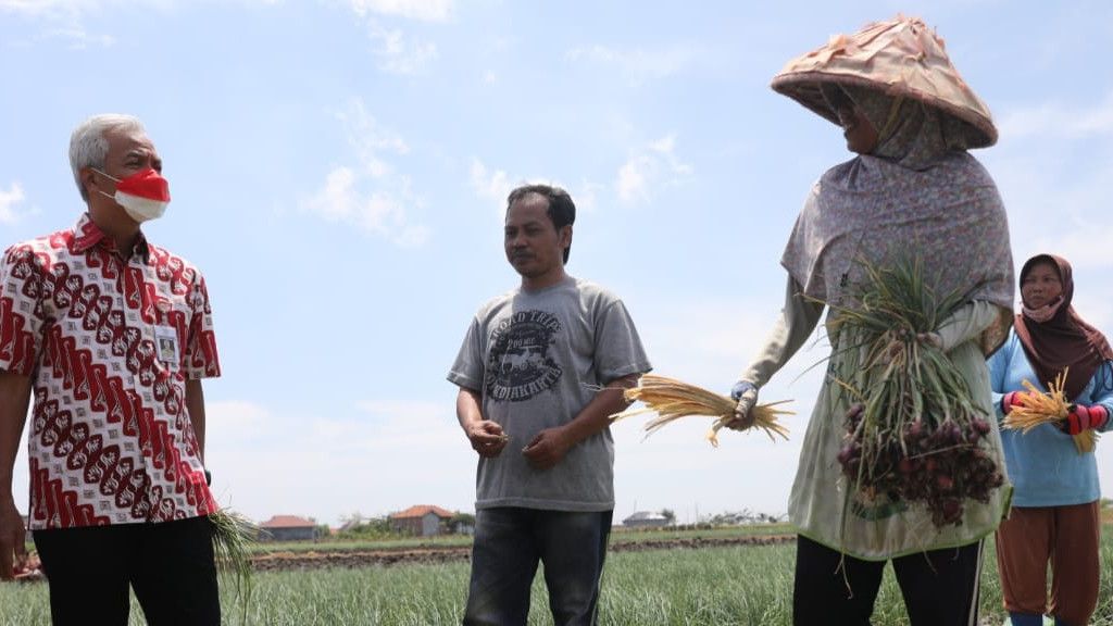 Produksi Bawang Merah di Jateng Turun, Ganjar Minta Kurangi Pakai Pestisida