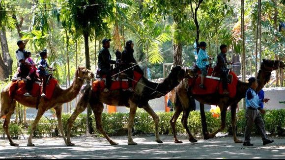Kembangkan Wisata Kebun Binatang, Pemkot Surabaya Akan Operasikan Night Zoo Pada Juni