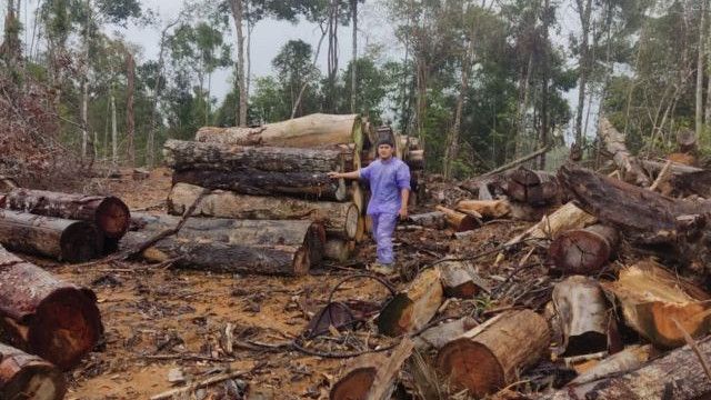 Bareskrim Dalami Dugaan Perusakan Lingkungan dan TPPU di Kasus Kayu Gelondongan Sumatra