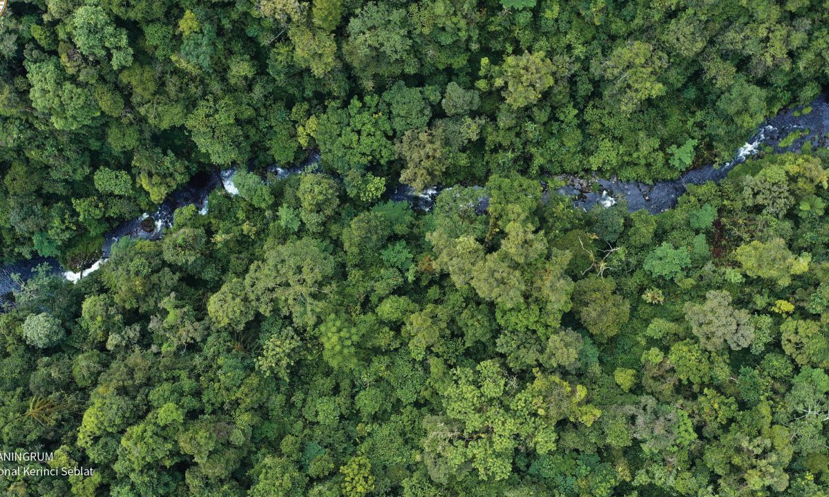 Penguatan Budaya Partisipatif dan Manajemen Kinerja Berbasis Data di Lingkungan PTPN XIV